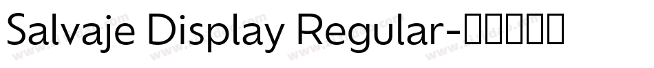 Salvaje Display Regular字体转换